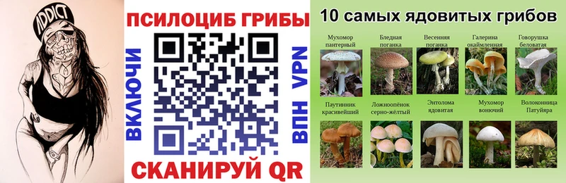 Псилоцибиновые грибы прущие грибы  Среднеколымск 